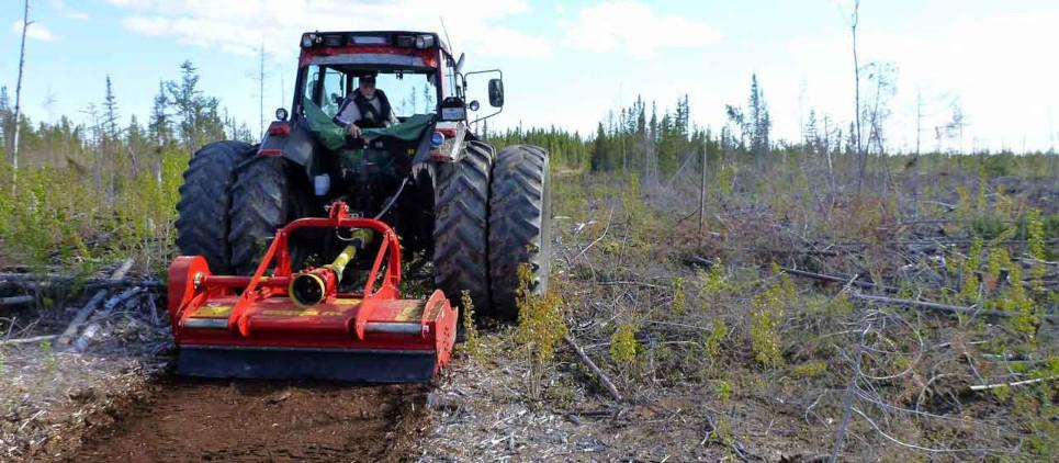 Reclaim Land Solutions